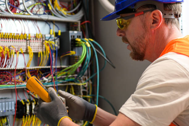 Best Electric Panel Repair  in Altamont, NY